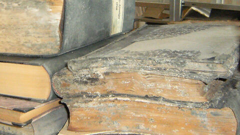 Schimmel auf einem Stapel Archivalien.